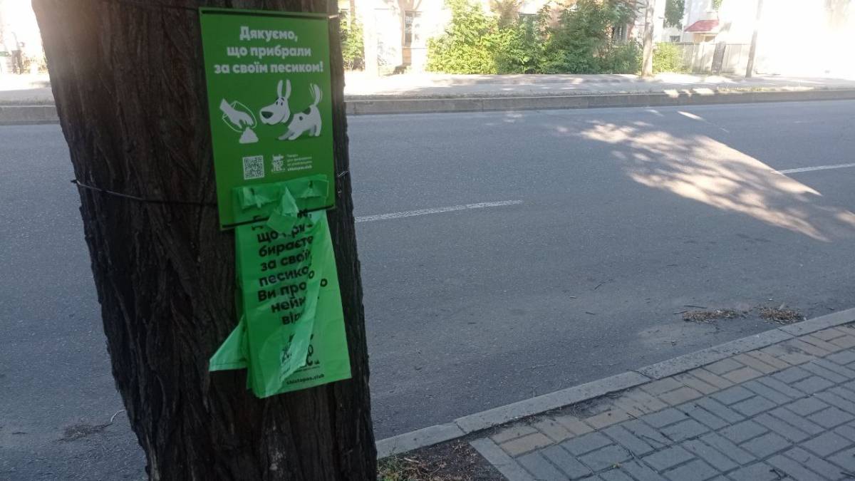 Європа у нас є. Йде за охайними собачими лапками та відповідальним хазяїном