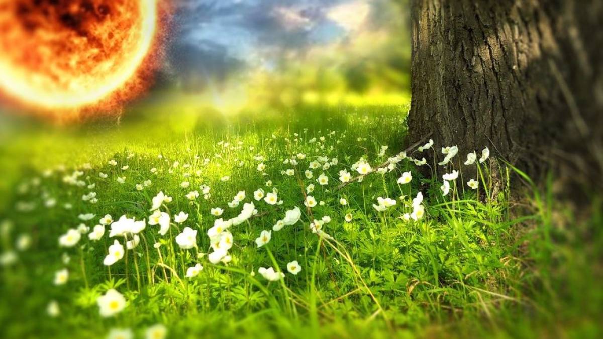 Якою буде погода в Запоріжжі в перші дні тижня – прогноз синоптиків