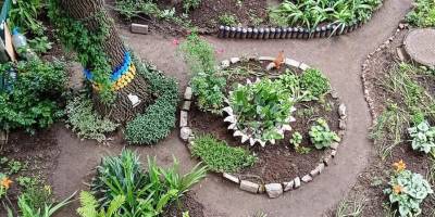 Садочок пані Вікторії: гарний і поруч, і згори
