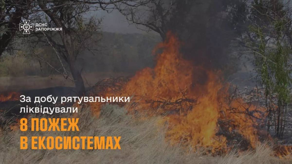 ДСНС у Запорізькому районі ліквідовано 8 пожеж в екосистемах за 1 липня