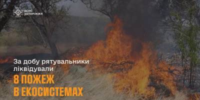 ДСНС у Запорізькому районі ліквідовано 8 пожеж в екосистемах за 1 липня