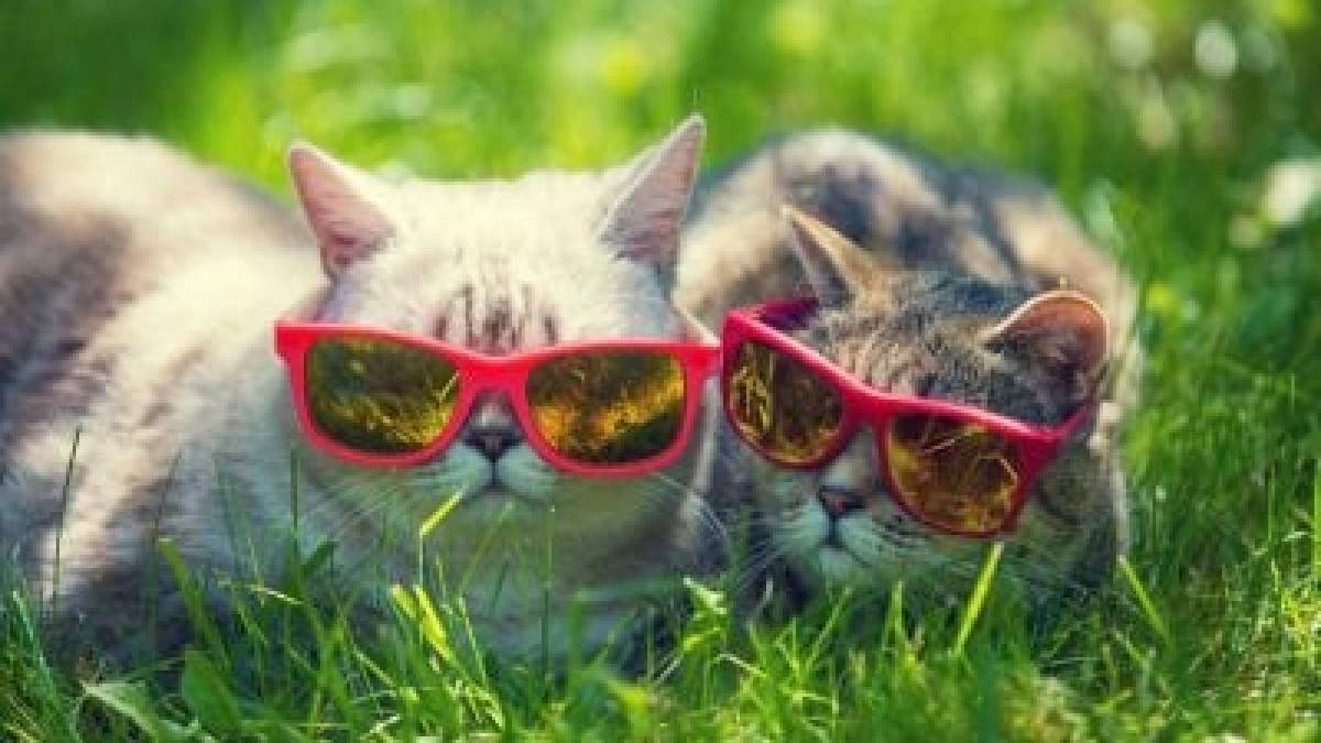 У середу в Україні прогнозують спеку до 37°, подекуди дощі та грози