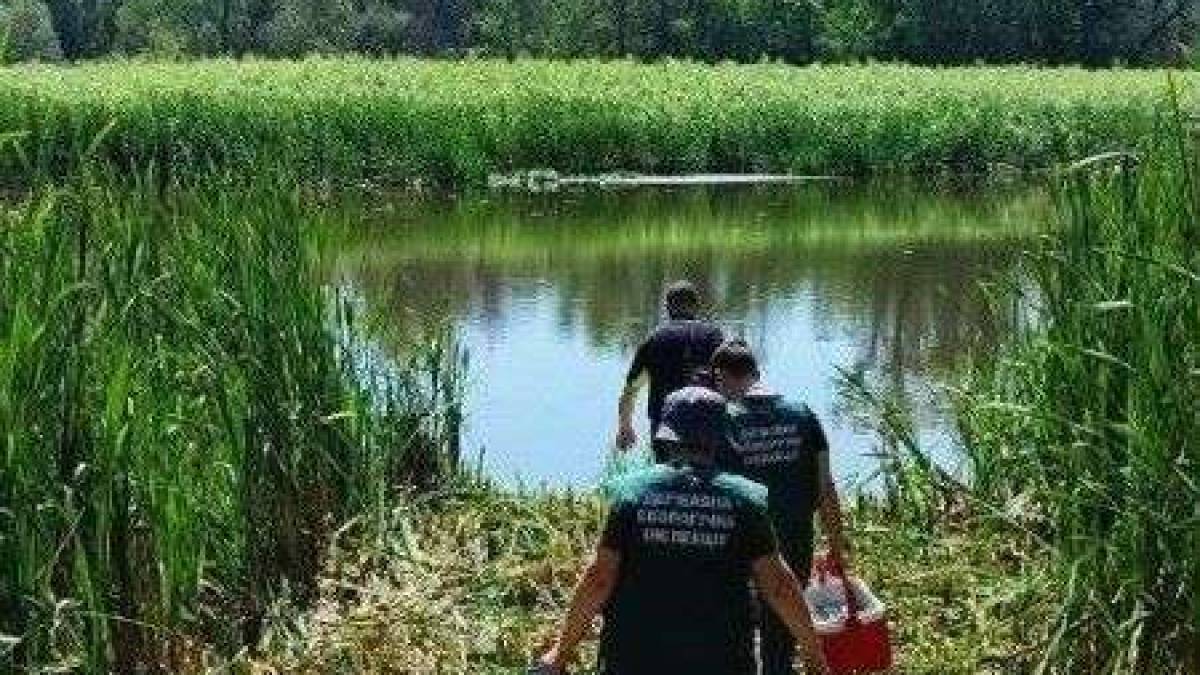 Моніторинг стану озер НЗ “Хортиця”