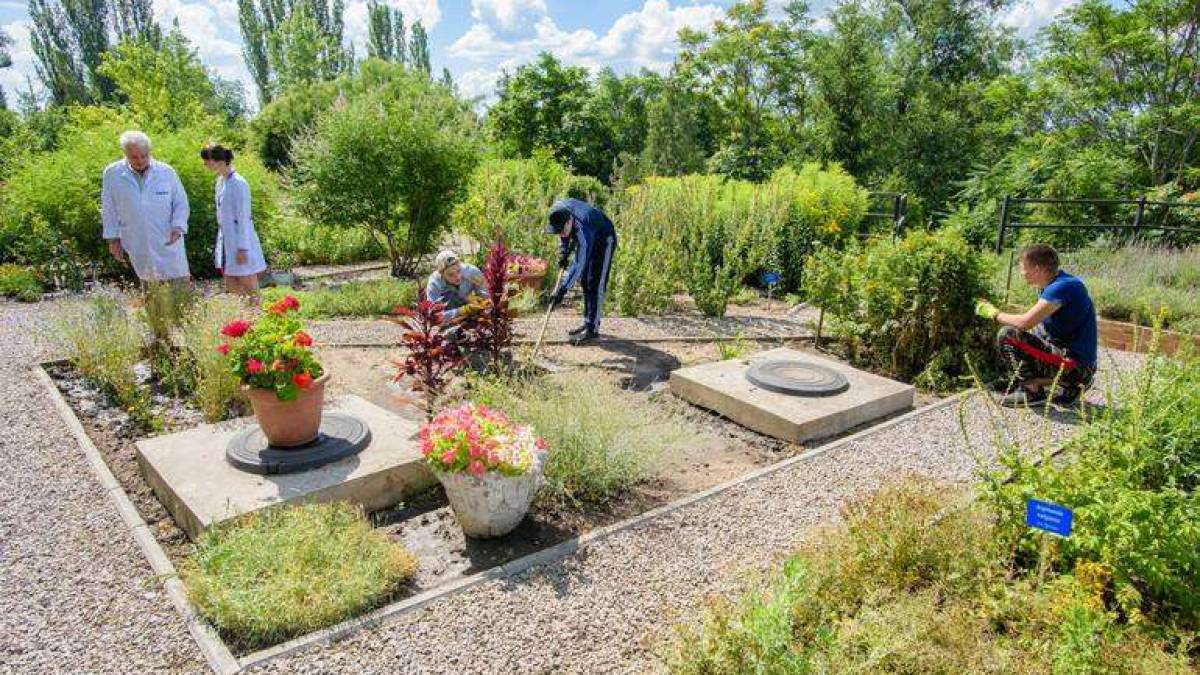 У Запоріжжі  майбутні фармацевти доглядають і вивчають лікарські рослини