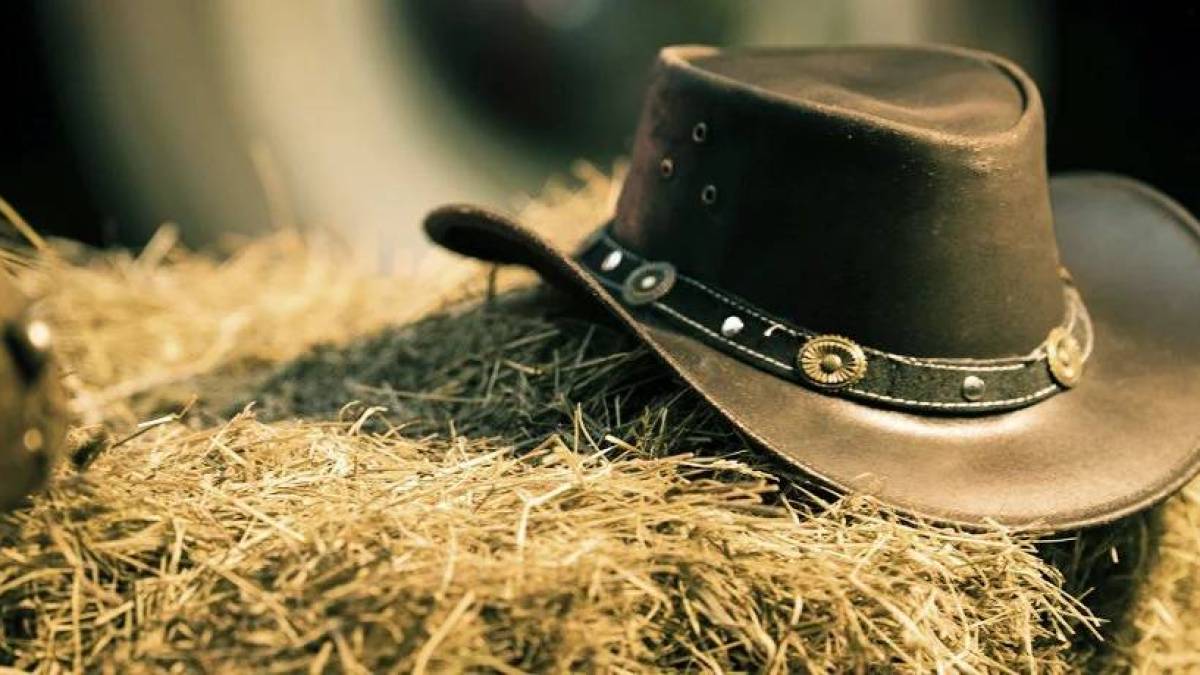 Насичена бібліотечна субота 13 липня: діткам – бібліоняня, юним – Western Party,