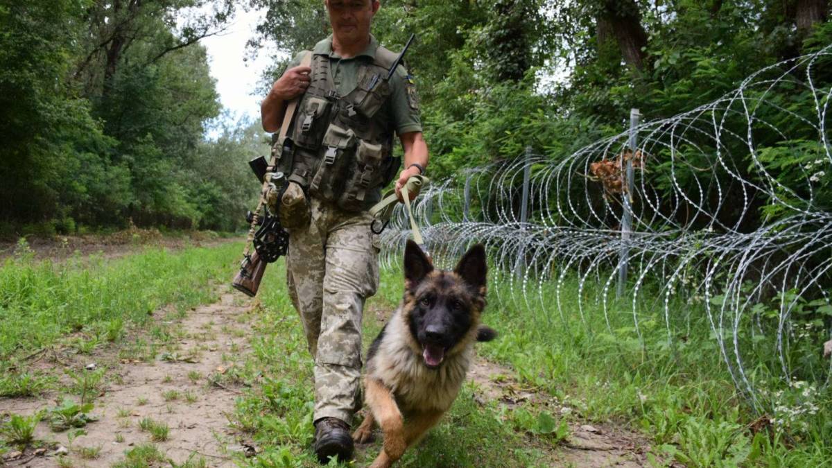 Ухилянтів на Закарпатті ловитиме Кобра