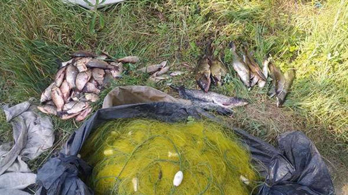 На Балабинській затоці викрито правопорушника, який наніс збитків на майже 200 тис. грн
