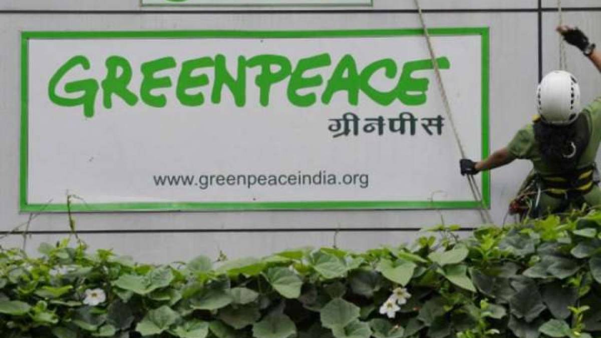 Greenpeace відкрила офіс у Києві