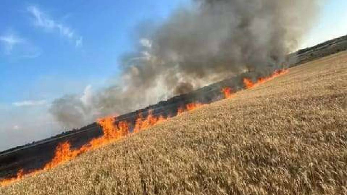 Внаслідок ворожого обстрілу в Запорізькій області згоріло майже 4 гектари хліба