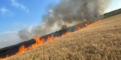 Внаслідок ворожого обстрілу в Запорізькій області згоріло майже 4 гектари хліба