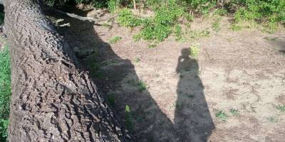 Як знайти сучасне мистецтво у запорізьких дворах?