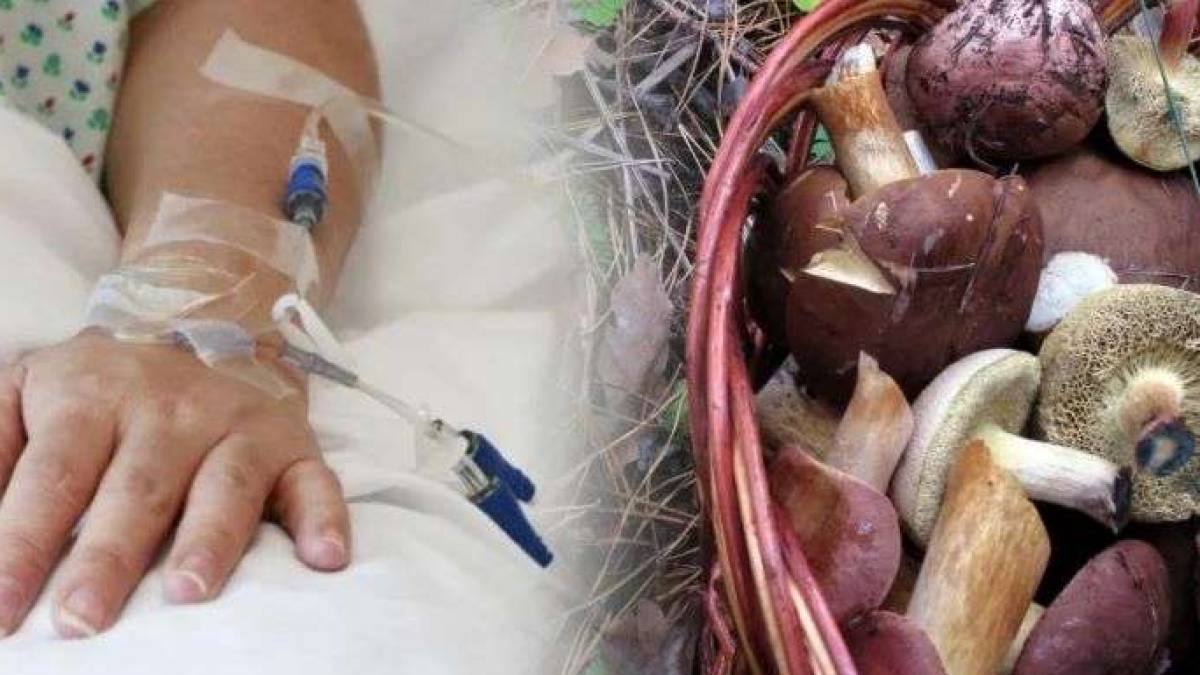 У Запоріжжі зареєстровано випадок отруєння грибами