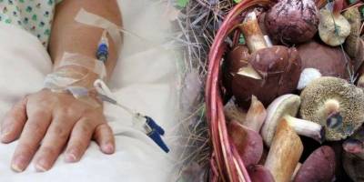 У Запоріжжі зареєстровано випадок отруєння грибами