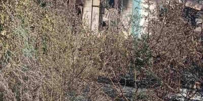 Впродовж доби окупанти 450 разів били по Запорізькій області