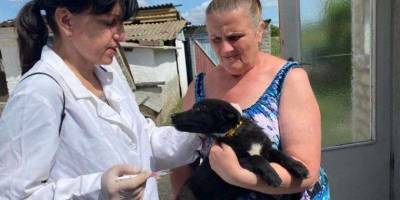 На Запоріжжі зняті карантинні обмеження зі сказу собак