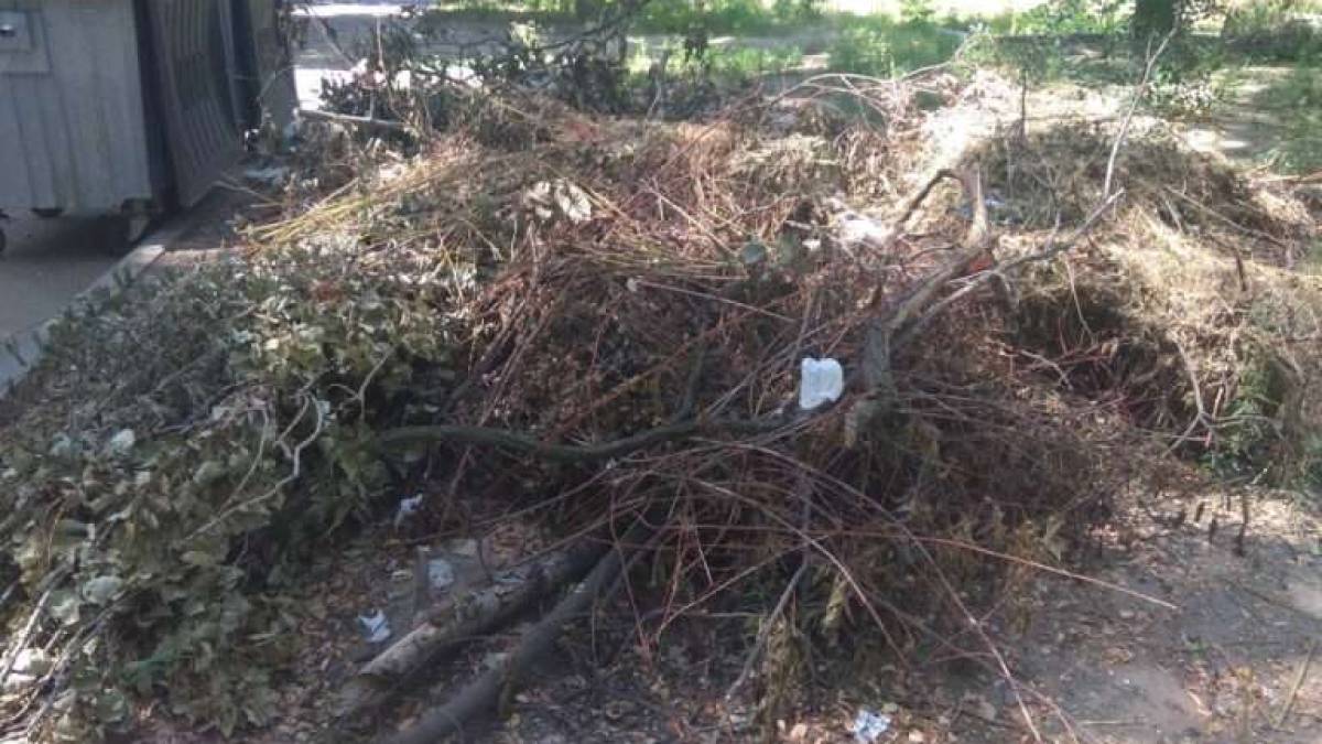 Виявлено два сміттезвалища у самому центрі Запоріжжя