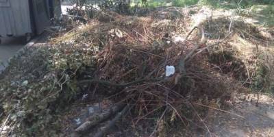 Виявлено два сміттезвалища у самому центрі Запоріжжя
