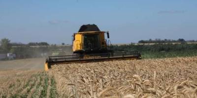 В Україні вже намолочено понад 22 мільйони тонн зернових та олійних  –  Мінагрополітики