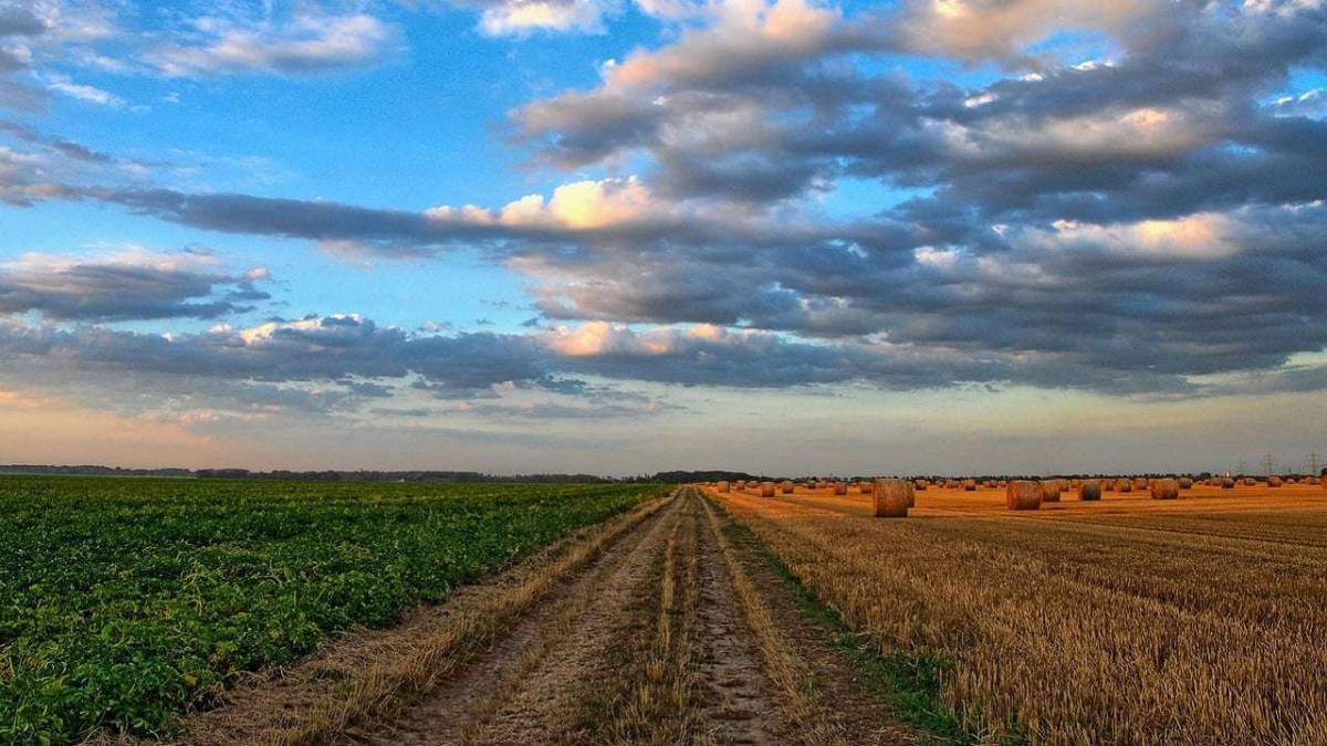 Початок місяця прохолодний: яку погоду українцям принесе серпень