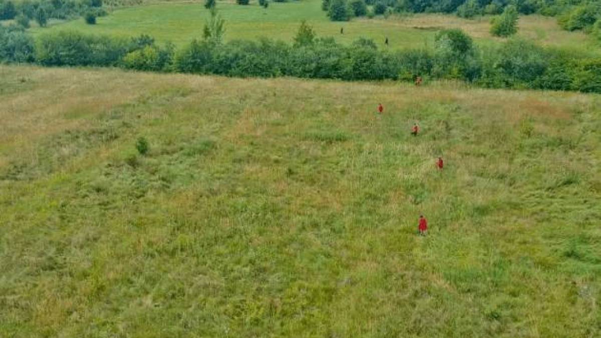На Львівщині знайшли  дівчинку, яку розшукували тиждень. Вона жива