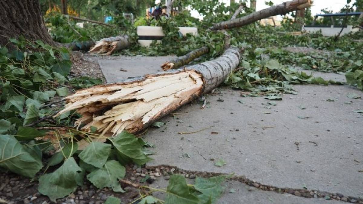 У Польщі — гроза і буревій: є загиблі, знеструмлені тисячі домівок
