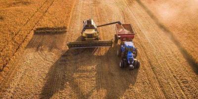 В Україні вже намолочено понад 28,5 млн тонн зернових та олійних