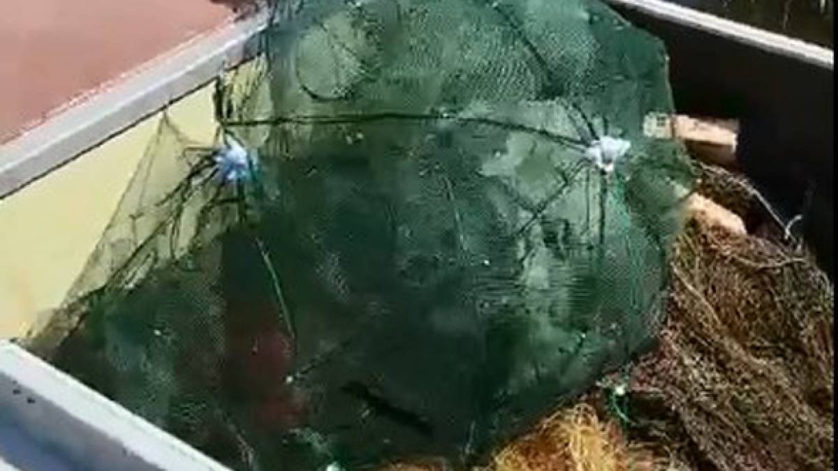 На Дніпровському водосховищі вилучено з водойми 6 заборонених знарядь лову