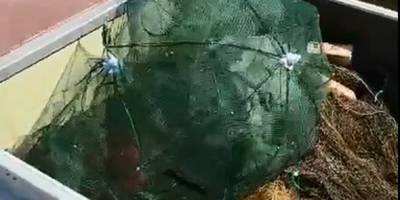 На Дніпровському водосховищі вилучено з водойми 6 заборонених знарядь лову