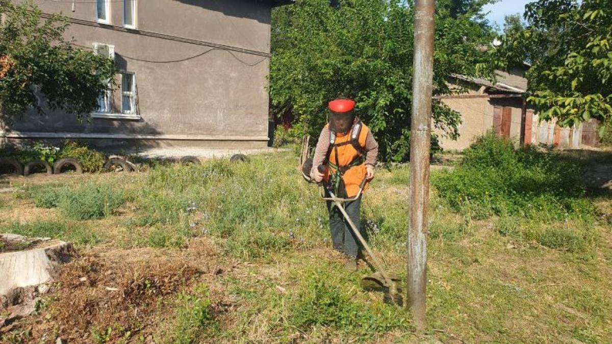 У Запоріжжі почався повторний покіс амброзії