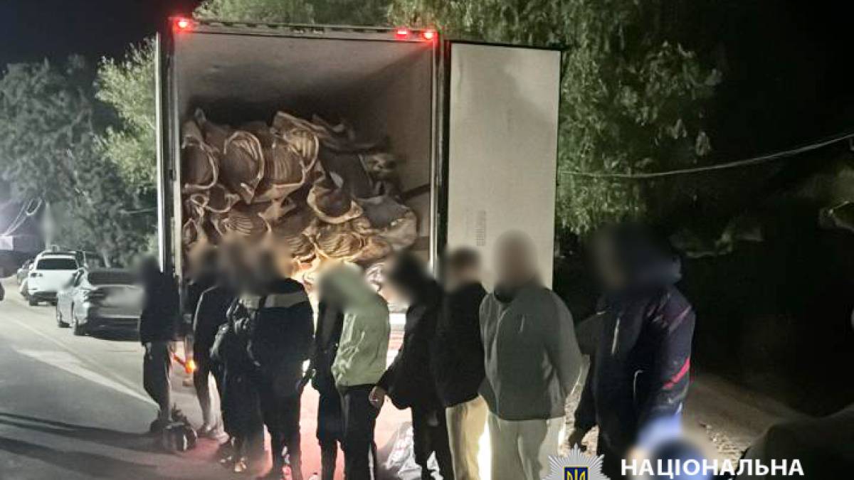 На Одещині іноземці везли 16 чоловіків за кордон у рефрижераторі з м’ясом