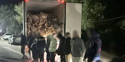 На Одещині іноземці везли 16 чоловіків за кордон у рефрижераторі з м’ясом