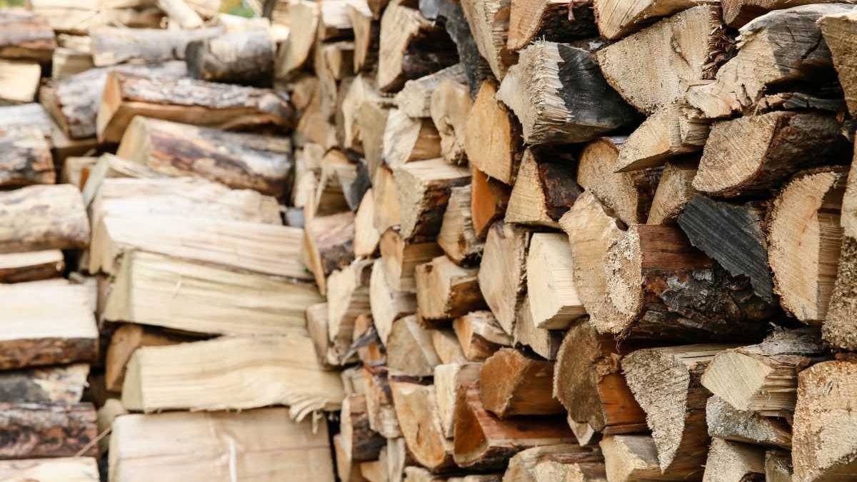 На Запоріжжі мешканці прифронтових територій отримають дрова