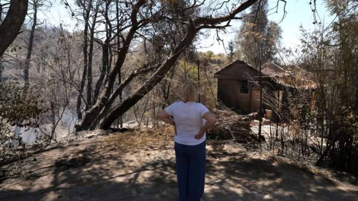 Масштабна лісова пожежа біля Афін послабилась