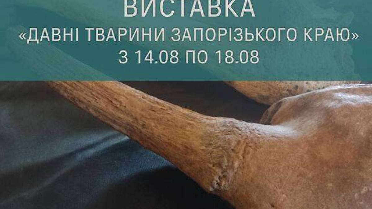 Зустріньте древних тварин Запорізького краю на новій виставці Національного заповідника «Хортиця»