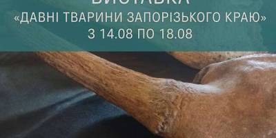 Зустріньте древних тварин Запорізького краю на новій виставці Національного заповідника «Хортиця»