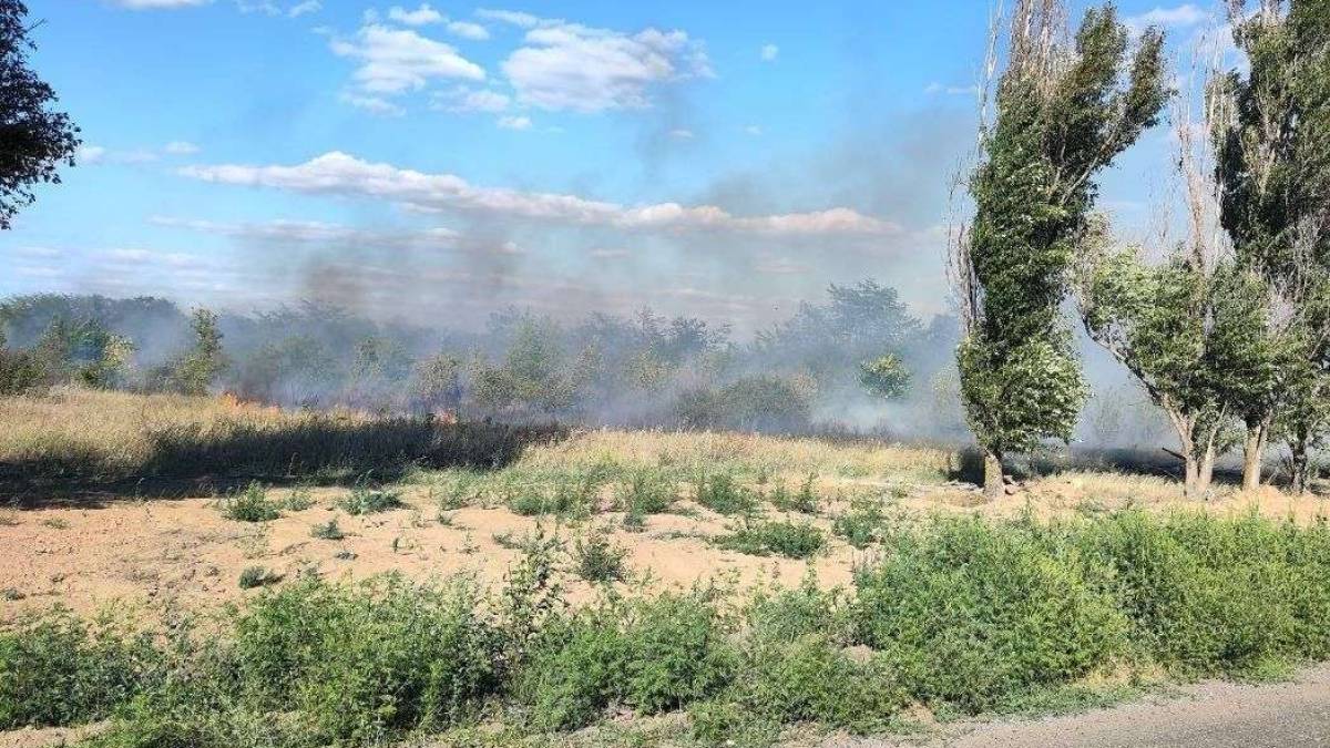 ДСНС у Запорізькому районі ліквідовано 24 пожеж в екосистемах за 14 серпня