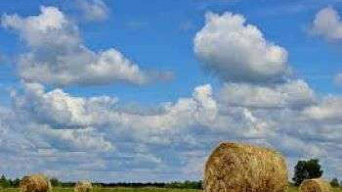 Заказнику  «Балка Годинова» на Запоріжжі нанесли шкоду на понад 213 тис. грн