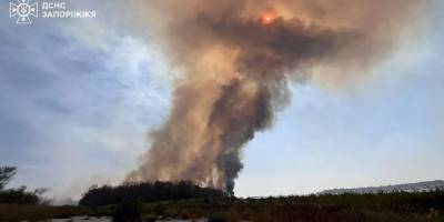 Пожежа у плавневій зоні Дніпра: Запорізькі рятувальники ліквідували загоряння (ВІДЕО)