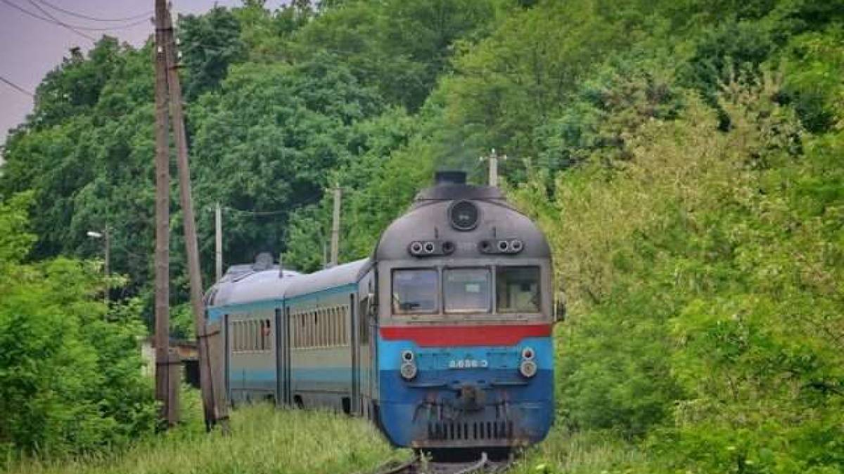 На Львівщині через шторм дерево впало на електричку, постраждали пасажири та залізничники