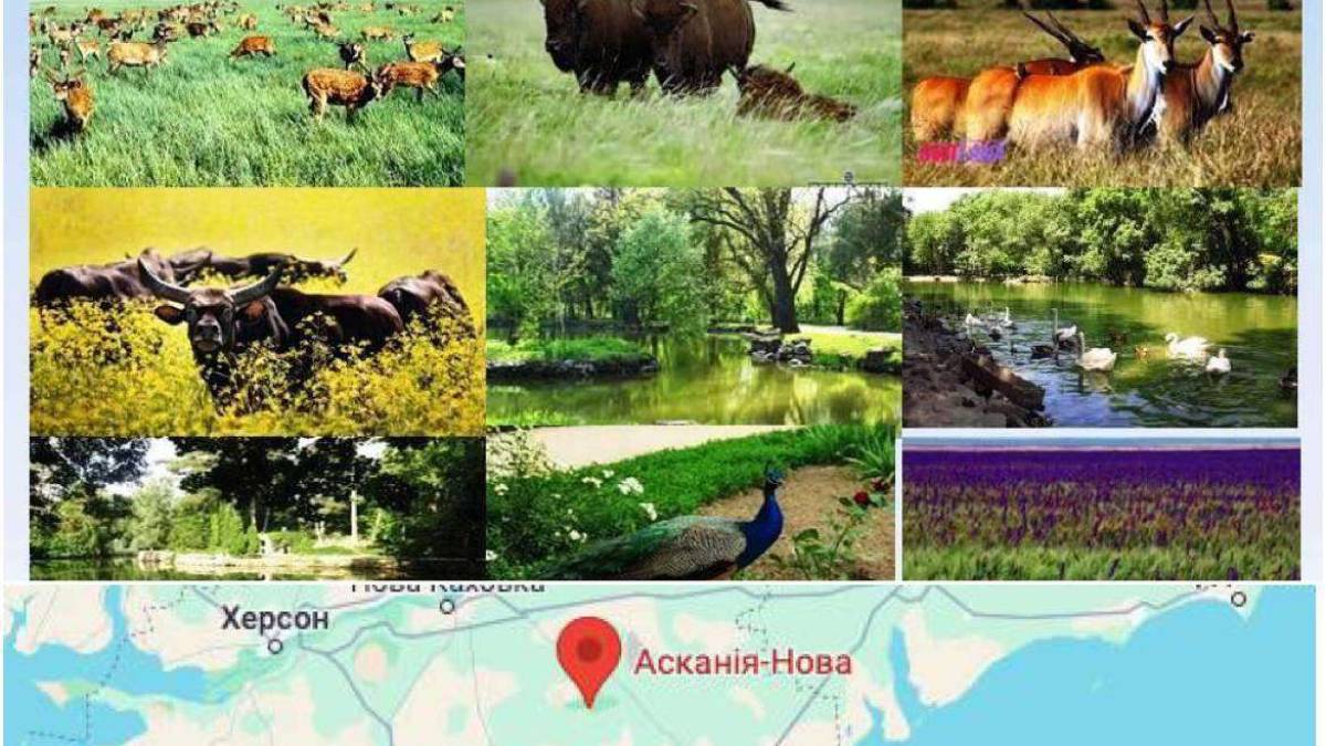 Заповідника «Асканія-Нова» більше немає