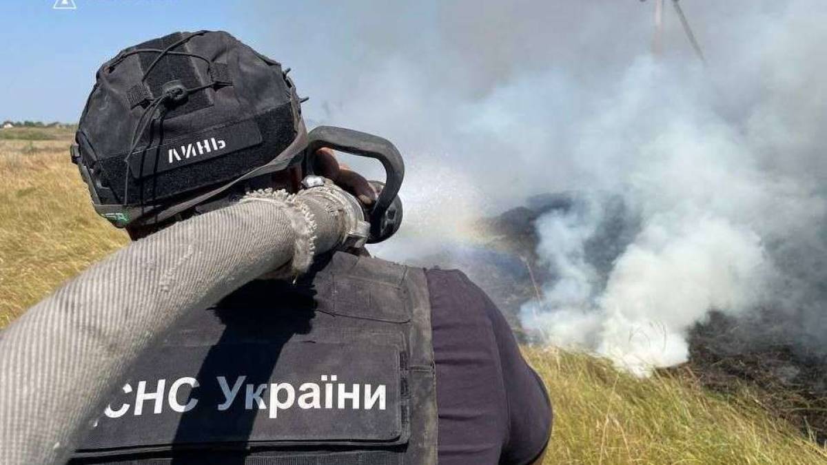 ДСНС у Запорізькому районі ліквідовано 19 пожеж в екосистемах за 20 серпня