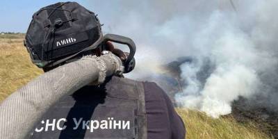 ДСНС у Запорізькому районі ліквідовано 19 пожеж в екосистемах за 20 серпня
