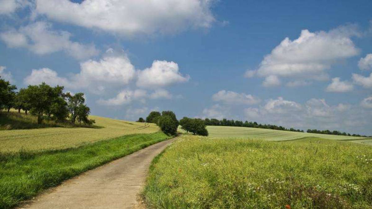 Що буде з погодою в Україні у вихідні, повідомив синоптик