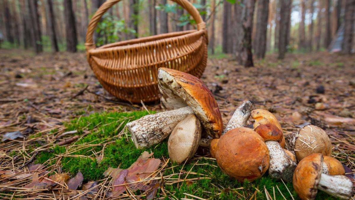 Народне свято 26 серпня: серед заборон дня –  важка праця, що ще не можна робити
