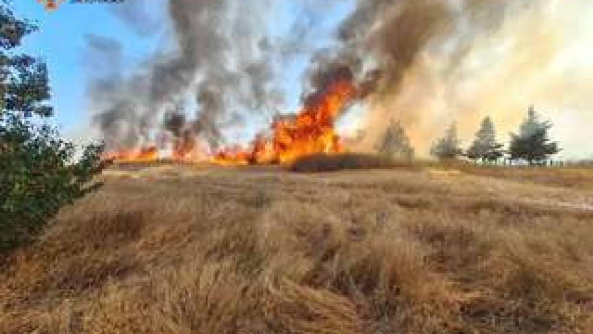 ДСНС у Запорізькому районі ліквідовано 31 пожеж в екосистемах за 25 серпня