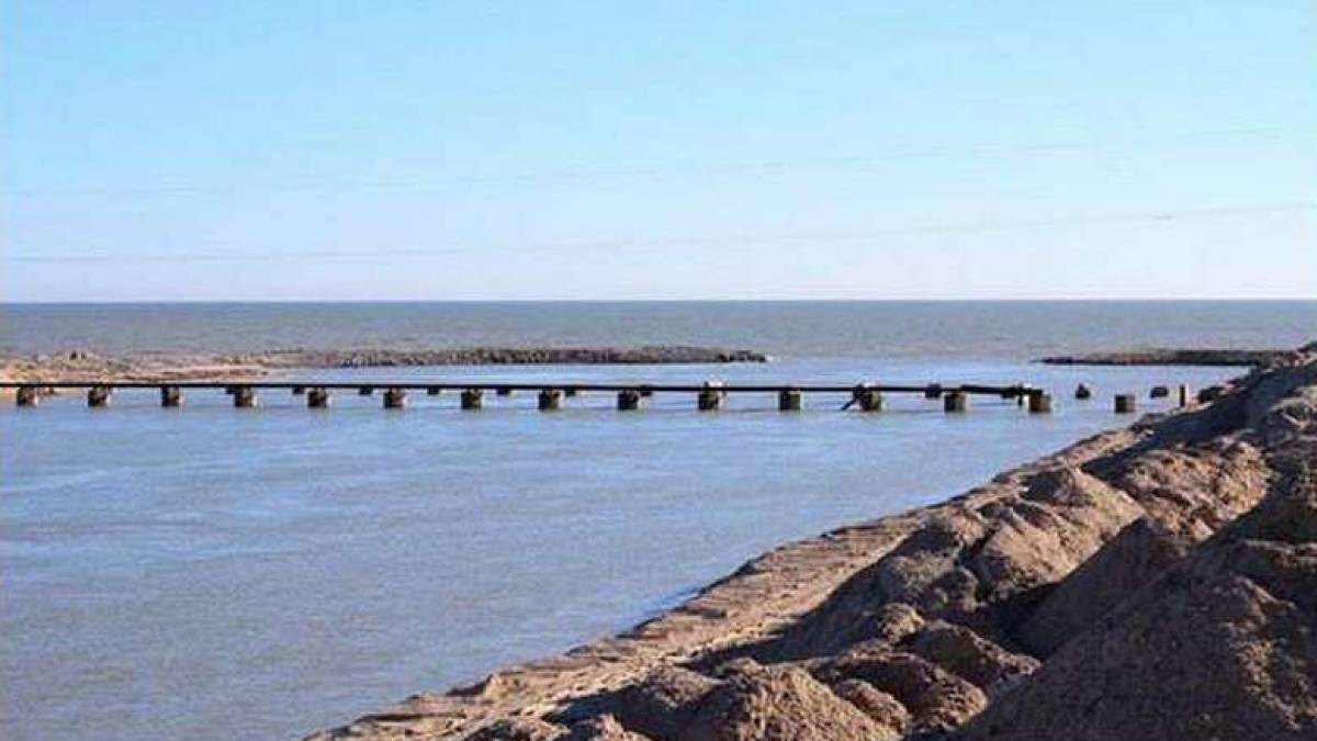 На Запоріжжі окупанти не розчистили Молочний лиман, що ставить під загрозу виживання  пеленгаса