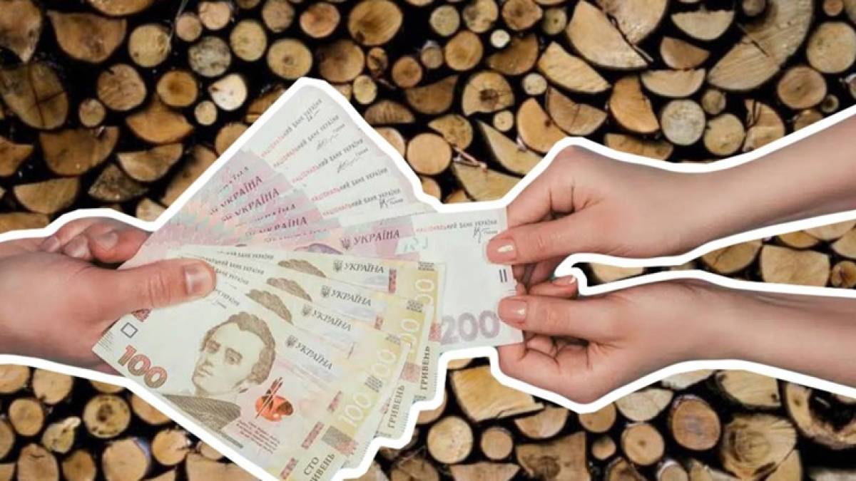 На Запоріжжі мешканці прифронтових територій отримають гроші на придбання твердого палива