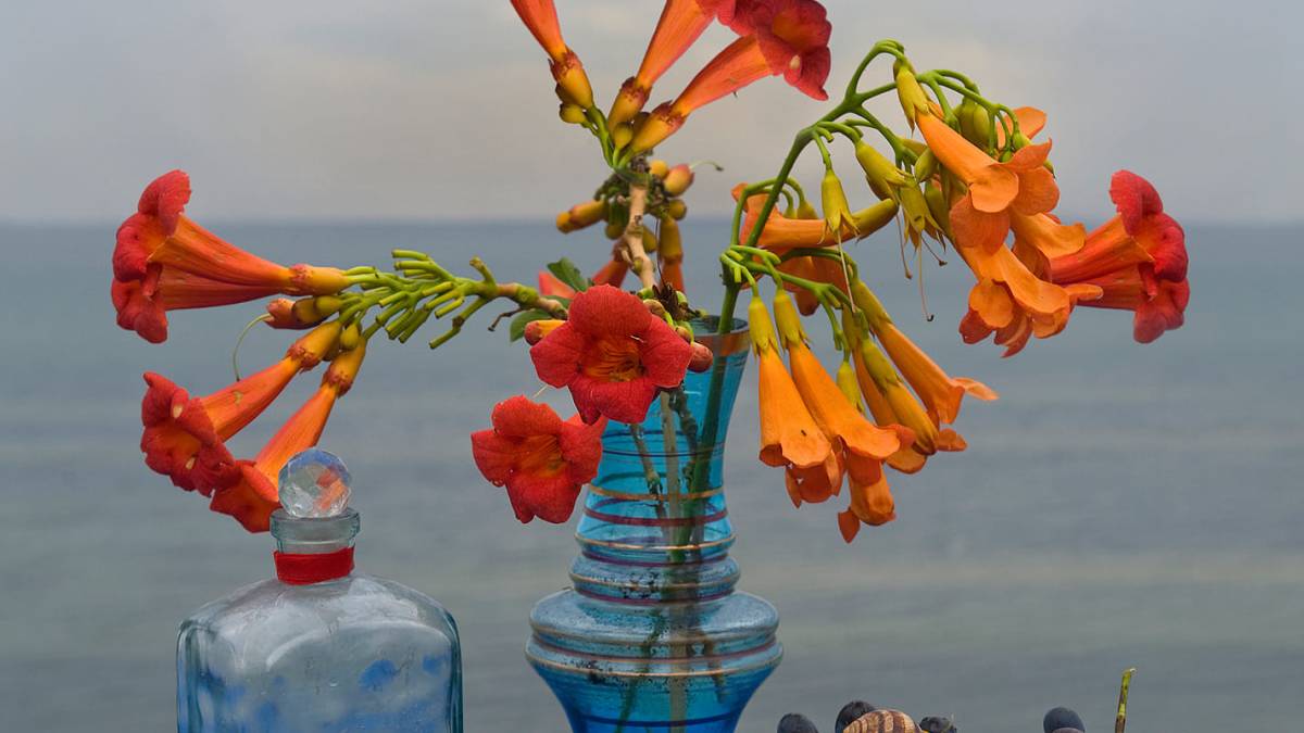 У запорізькому фотоклубі – виставка Віктора Кадуріна, майстра фотонатюрмонту