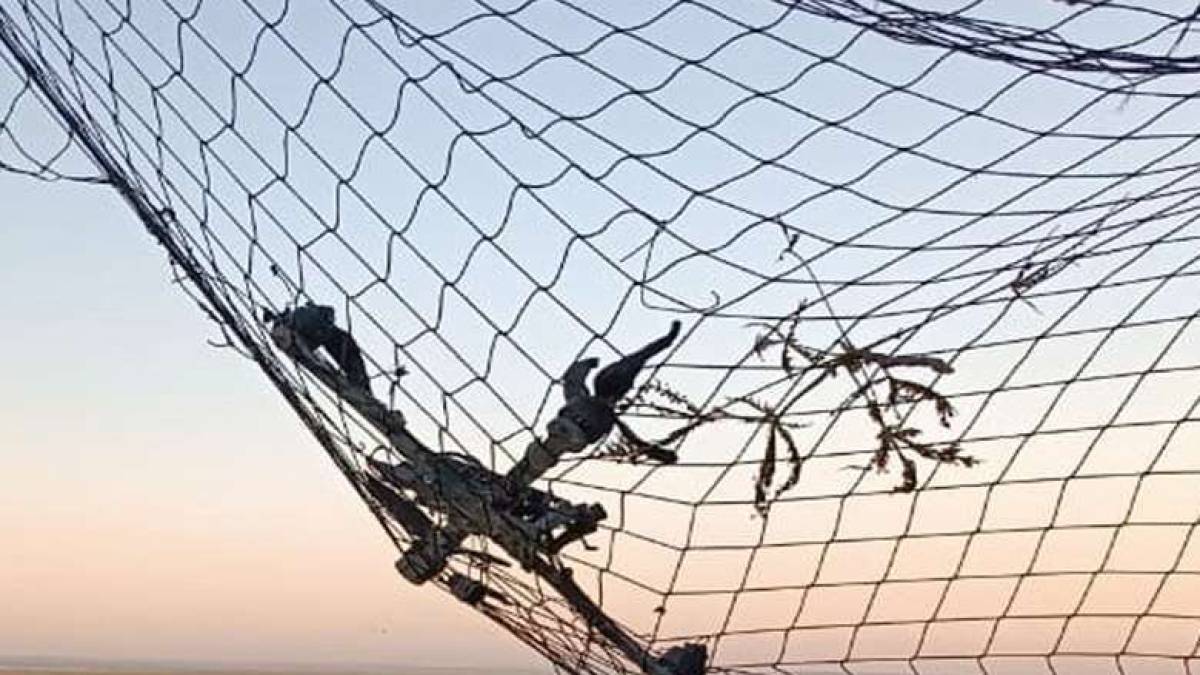 На Запорізькому напрямку прикордонники знищили 12 ворожих безпілотників