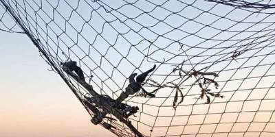 На Запорізькому напрямку прикордонники знищили 12 ворожих безпілотників